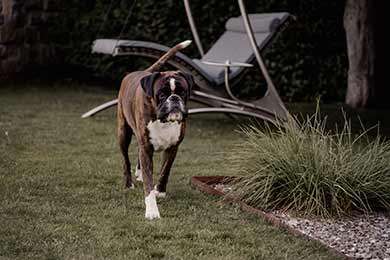 Fotoshooting
